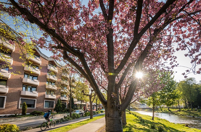 Die Reha-Klinik am Ufer der Ahr. Die Reha-Klinik am Ufer der Ahr.
